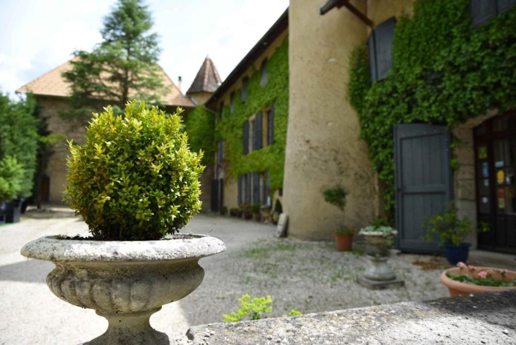 Chateau De Passieres Chichilianne Ngoại thất bức ảnh